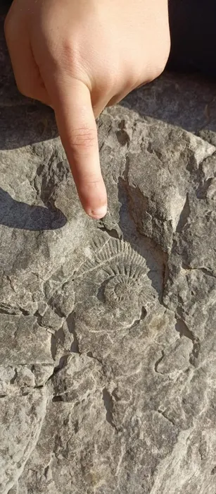 Y8vnx5WGlf88jp7Qofa4hr4cLkgQ_ktl79S2UdHxwBfQsmKmdcOb37xH-RQfPzjhYpaafz1uI58-4b1X3MRWL-_z