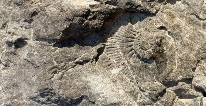 Xw4xPYYaSVQDlrTBRnPCH0tMxu3fwACx48ETDNJl8yUU0y6IOgz8ND6dDjOJUipzcCZqTFBjZFJ1ywNuOPnHRdUz