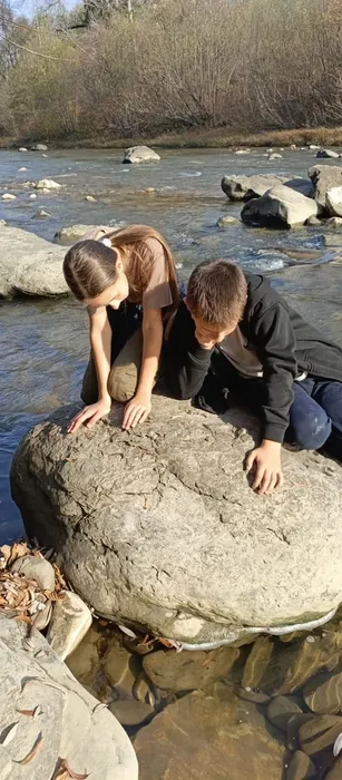 yHDISmk0MAVZ-3EpHsebee1fAr4uQ0UZQdKr_s_Om_SFl4mIvpYmjKKDDLD_gbLOVF34WkdHxBlHCdq-NLDpw2To