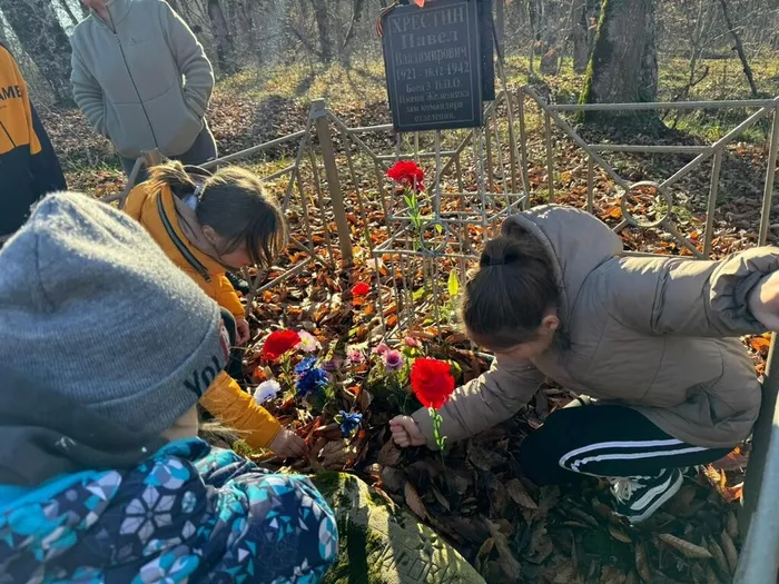 gMlQ2EiZN1sw50Zau0kbjqLNV1Vz1fUE8VDWHlcVvAG7CvWsfRe6ySt6EUZMpXnF6vraf82ZbRibc44IKcNI8Nts